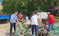 青春华章 向海图强 | 守岛、治潮、夺金:山东青年叩问深蓝