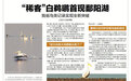 “稀客”白鹈鹕首现鄱阳湖!江西省鸟类记录实现全新突破
