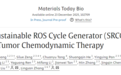 肿瘤前沿|深圳龙岗中心医院张灵艳团队开发一种可持续ROS循环发生器,助力精准抗癌