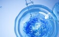 蓝若老师探营养:忘掉基础代谢!这样修复你的新陈代谢