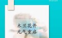 元满母婴旗下品牌「木兰开」京城四店齐开,以“科学护理 · 元气养生”开启元气月子新纪元