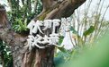 光影为媒,秘境启幕!伏那秘境旅拍大会暨创意旅拍大赛盛大开幕