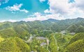 家家新房、九成有车!新时代乡村振兴的“神山之路”