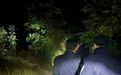 三名驴友深山迷路遇险 民警寒夜徒手披荆斩棘紧急救援