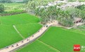 海南今年将新建250个和美乡村