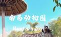 @属马的游客,春节期间南昌动物园免费入园