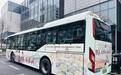全国首个!跟着《太平年》游杭州主题公交上线 三条不同线路可选