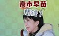1.5亿播放破纪录,850亿日元全民买单,高市早苗烧了多少钱?