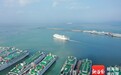 海口新海港除夕运力充足,小客车船票尚有剩余