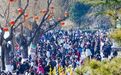 新场景新业态持续上新!大年初二,山东200家景区实现营收1.8亿元