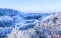 龙江玩雪到三月 来黑河续写冰雪奇缘