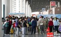 复航后新海港将优先输运待渡车客 因排队延时进港的船票依然有效