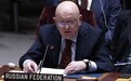 俄驻联合国大使:我是乌克兰人