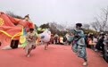 “鸥”式英歌舞闹元宵 “海鸥季”让淡季变旺季
