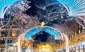 灯火映老街 元宵迎客来丨中央大街流光溢彩成打卡胜地