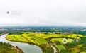泰和县:金波荡春雨(图)