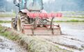 上饶广丰区:田间地头“闹”春耕