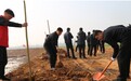 郏县:栽下千棵柳 绿满胡河岸