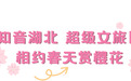 明日开启!“知音湖北 超级文旅日” 相约春天赏樱花活动在武汉花博汇启动