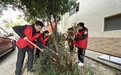 植绿学雷锋 共筑生态梦——合肥市琥珀名城小学开展植树节志愿服务活动