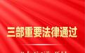 三部重要法律通过 “十五五”开局标注国家立法新刻度