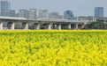 冲击 20℃+!浙江升温时间确定 这天起“冷”的感受彻底消失