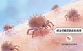 2026AWE探展:春季过敏频发?友望护肤搭子除螨仪一键解决过敏痛点