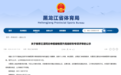 奥运冠军王濛,拟破格晋升国家级教练
