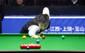 斯诺克世界公开赛赵心童出局 吴宜泽成中国军团“独苗”