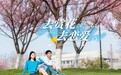 安徽一高校官宣6天春假 情感不缺位、青春不缺席