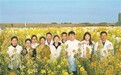 再添5色!江西农业大学培育的彩色油菜花色增至80种