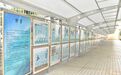 墨香润童心,生态启新程|红树林诗书画展在翻身小学开幕,开启跨学科学习新体验!