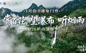 春满匡庐·筝遇繁花|庐山免票倒计时 最后一周莫负春光