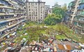 南昌青山南路一空地闲置20余年成垃圾场 重新利用困难重重