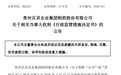 多年财务造假,贵州百灵被重罚,董事长姜伟被罚500万元、10年禁入