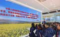 百名小学生把课堂搬进油菜花海 解锁“科技密码”