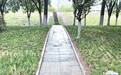 九江十里河公园步道修好了 孩子上学不再绕远路