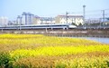 5折麻姑山、7折文昌里:清明假期拿车票享折扣游江西