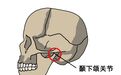 别再“咬牙硬扛”了 把颞下颌关节拉回正轨