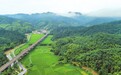 云溪区用“三绿”答卷诠释生态担当