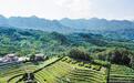 春满太行——李保国精神的坚守与传承