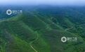 吉水县:春茶采摘正当时 茶山飘香促振兴(图)