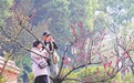 九江:以文明之姿 共赏繁花之美(图)