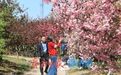 清明小长假,济南9大公园景区踏青赏花正当时