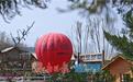 春日泉城以花为媒 绘就文旅融合与乡村振兴“繁花路”