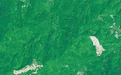 从三组卫星遥感图看生态保护成效(世界地球日特别报道)