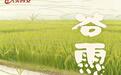 节气里的大美西安丨今日谷雨 雨润长安百谷生