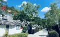 漫游甘肃灵台享康养 红色研学路线五一安排起来
