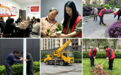 余江区2026年一季度物业服务项目红黑榜出炉,鑫盛物业上黑榜