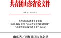 恒邦股份团总支荣获 “山东省五四红旗团支部” 称号